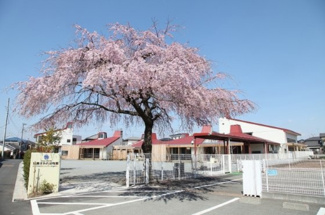 【周辺】 | 弊社売主物件 昭島市田中1丁目　売地　【全1区画】 | 昭島すみれ幼稚園まで徒歩約10分