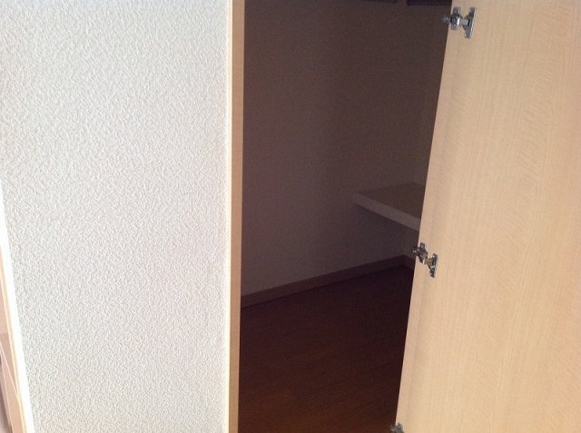 さいたま市桜区大字大久保領家の賃貸マンションの収納|きれいな内装です