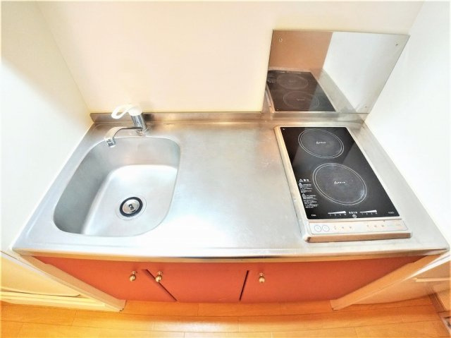 さいたま市緑区大字大谷口の賃貸マンションのキッチン|使いやすいキッチンです