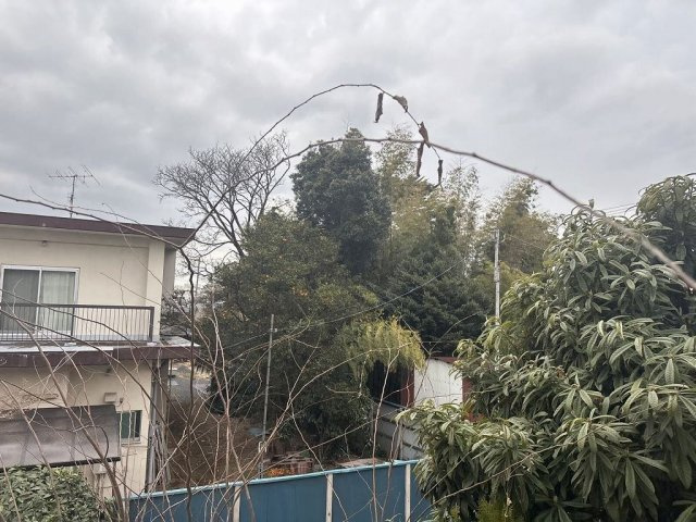 さいたま市緑区大字中尾のアパートのその他