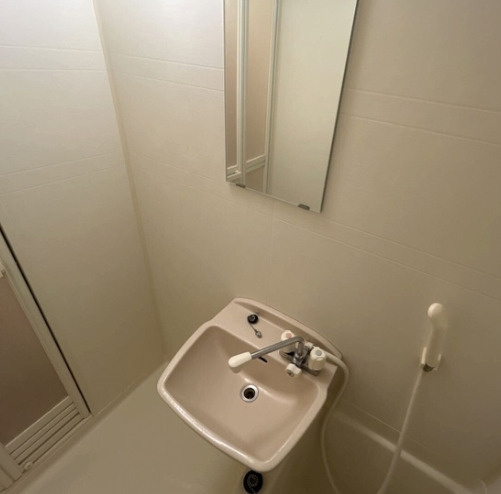 さいたま市緑区原山２丁目のアパートの洗面所