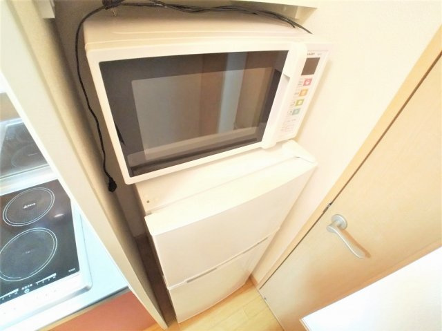 さいたま市浦和区木崎４丁目の賃貸マンションの設備|電子レンジと冷蔵庫