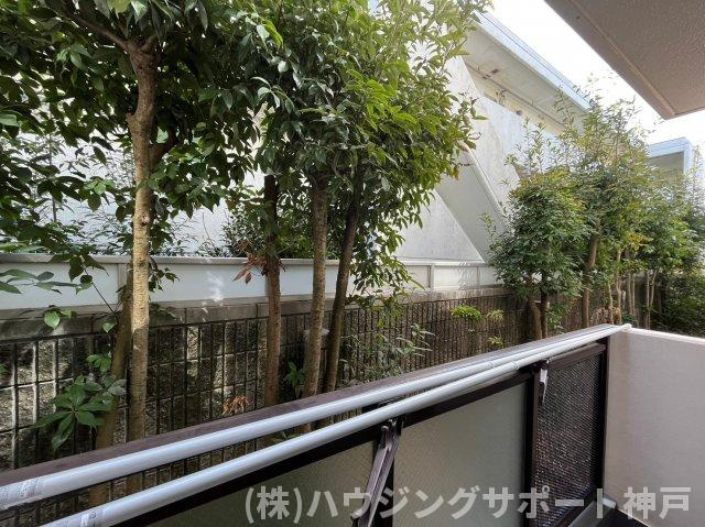 ドール霞ヶ丘の展望