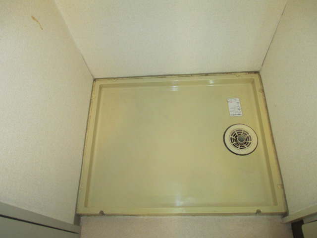 イスズベル八代のその他