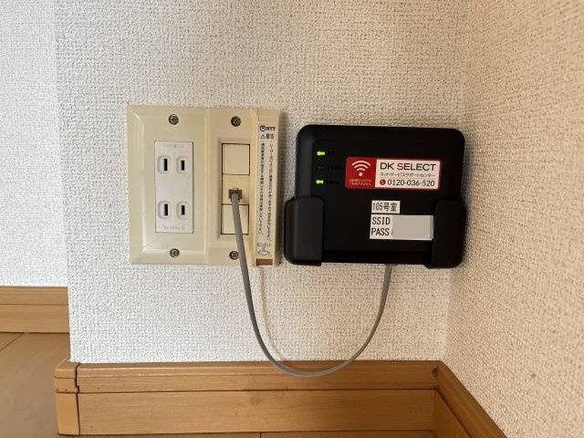 チェリーブロッサムのその他