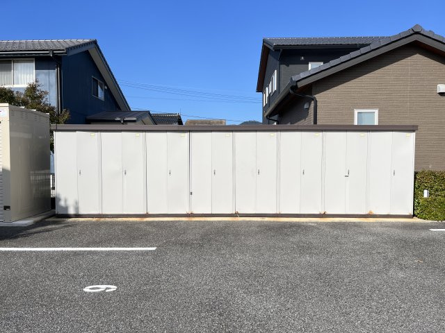 チェリーブロッサムのその他