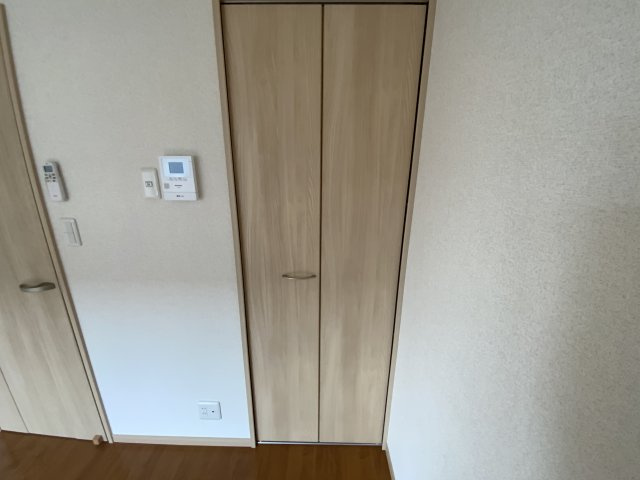 コパン武里の収納|大きなものも収納できそうです