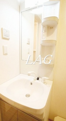 【洗面所】 | プラチナパレス | 洗面台です。