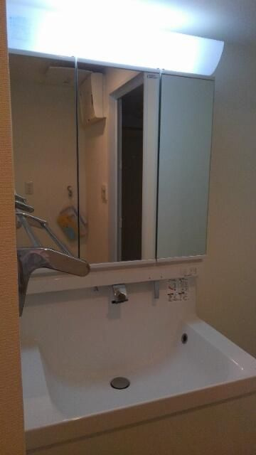 Ｍａｉｓｏｎ　Ｍｙｏｕｊｉｎｓｈｉｔａ（メゾン明神下）の洗面所