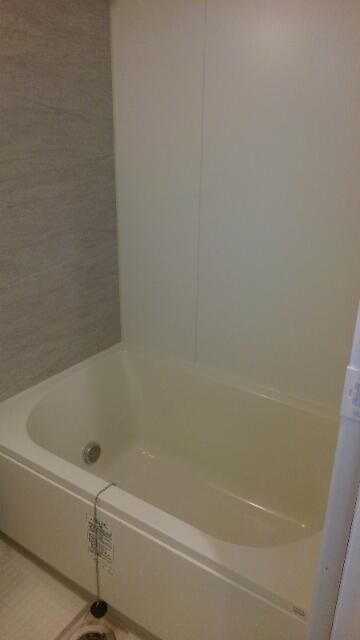 Ｍａｉｓｏｎ　Ｍｙｏｕｊｉｎｓｈｉｔａ（メゾン明神下）の浴室