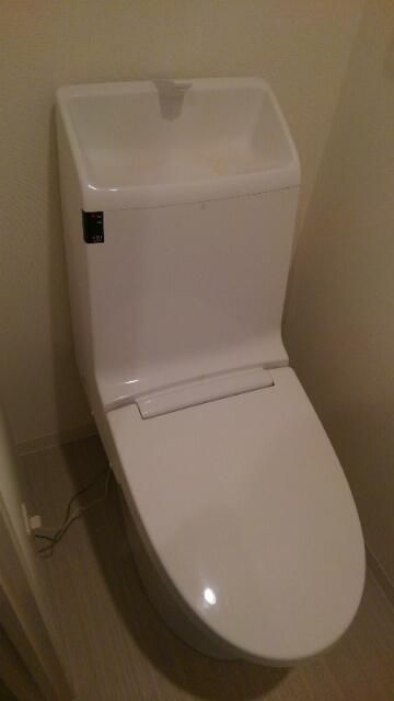 Ｍａｉｓｏｎ　Ｍｙｏｕｊｉｎｓｈｉｔａ（メゾン明神下）のトイレ