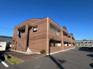 サンライズ・Ｍの画像