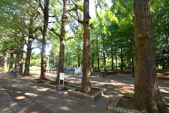 小平市津田町2丁目・新築戸建の周辺