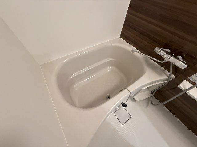 エメルミナ豊中岡町の浴室