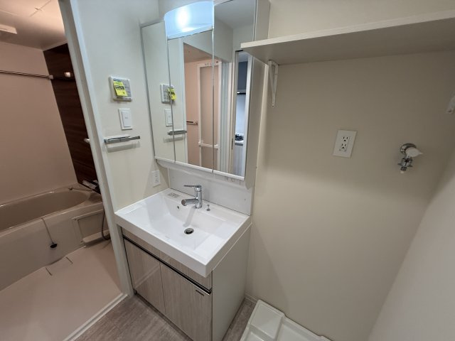 エメルミナ豊中岡町の独立洗面台