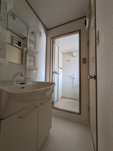 エステートオギシマの洗面所