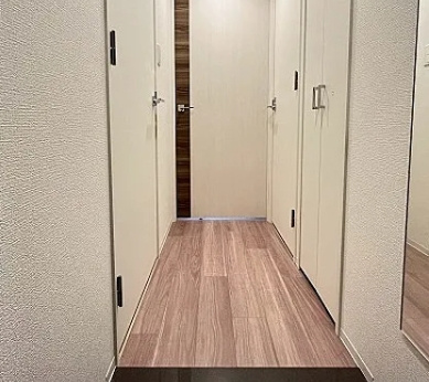 プレサンス江坂ベルフィーヌの玄関