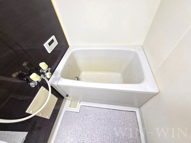 LIZE緑ヶ丘の浴室