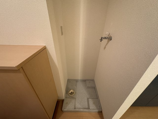 セジュール・ハッセブのその他