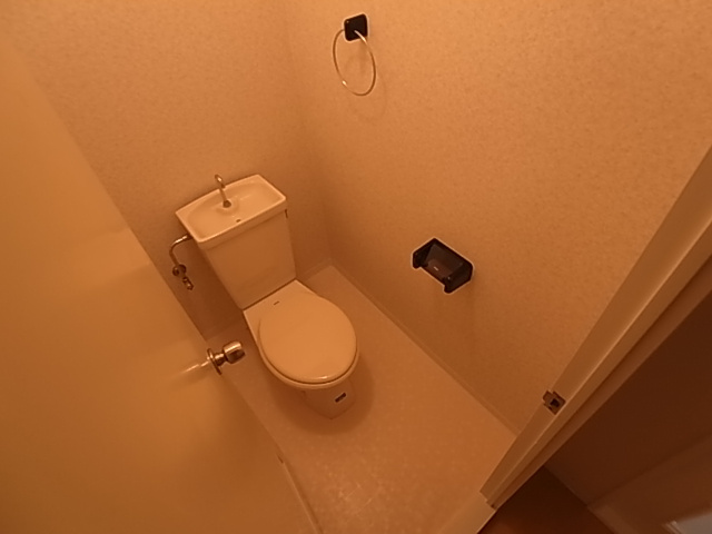 神戸市兵庫区羽坂通４丁目の賃貸マンションのトイレ