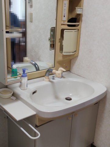 売中古戸建　山口市秋穂東 の独立洗面台|洗面台