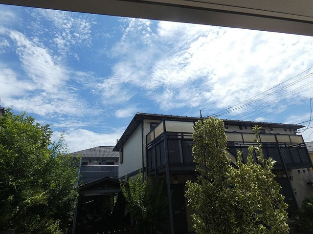 マグノリアの展望