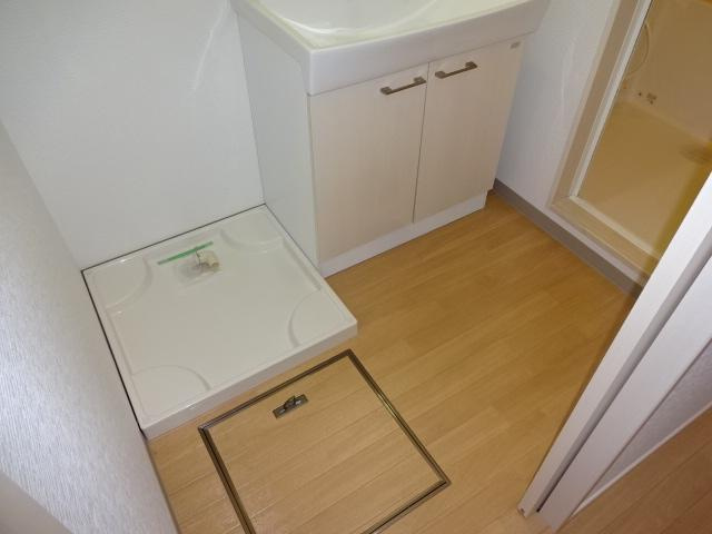 メゾン・グランチェスタの洗面所|洗面