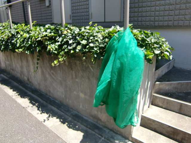 ＡＬＥＧＲＩＡ 経堂のその他共用部分|ゴミ出し場所