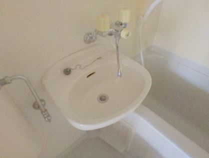 エヴェナール茗荷谷の洗面所|※別室参考写真です。