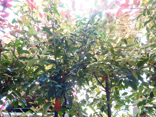 ＡＸＩＳ常盤の展望|★バルコニーから見た景色★