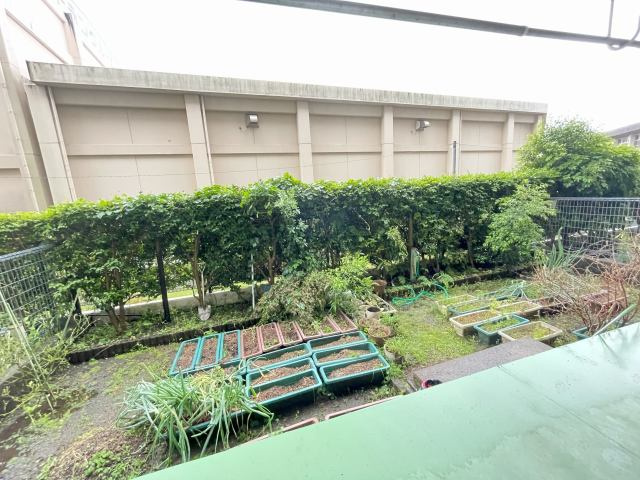 リベラル一ッ葉のその他