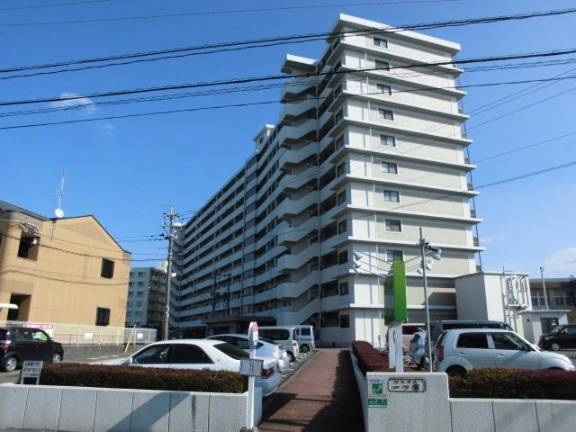 リベラル一ッ葉