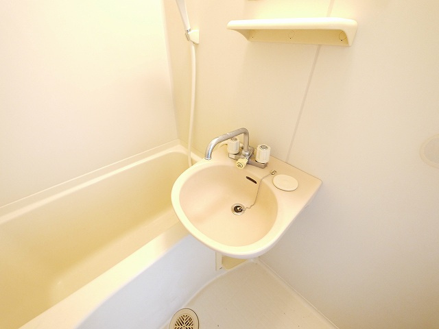 ラックハウスの設備|忙しい朝には欠かせない洗面台です