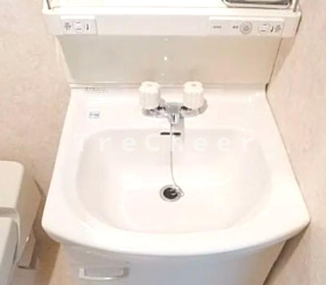 カスティーロ東十条の独立洗面台