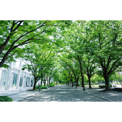 【周辺】 | ヴィー・クオレ レジデンス栄二丁目