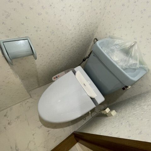 メゾンサイプレスⅡのトイレ