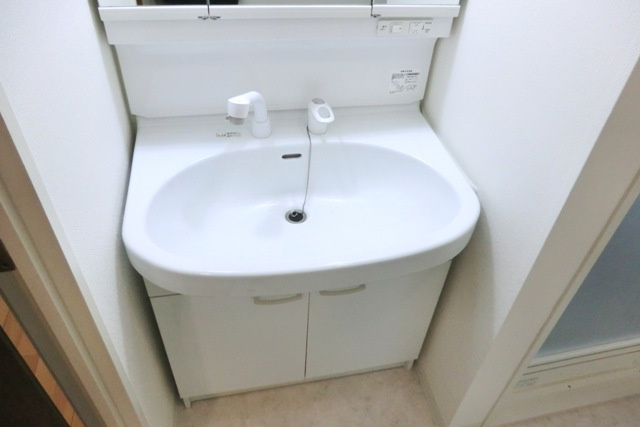 さいたま市浦和区常盤１０丁目の賃貸マンションの独立洗面台