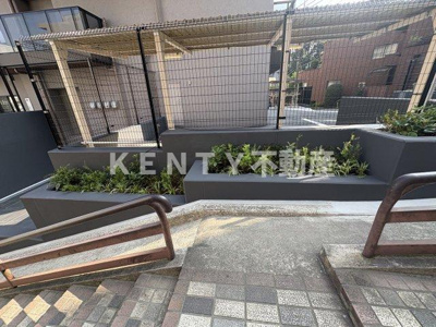 【周辺】 | ザ・パークハビオ大森山王