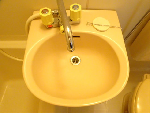 ハイム小竹の洗面所