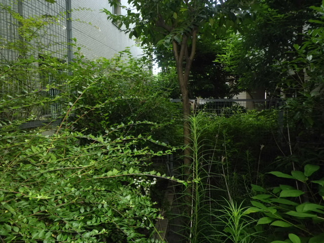 エルム御影の展望