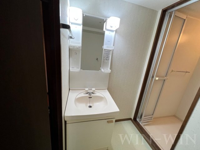 サニーパーク高師の独立洗面台