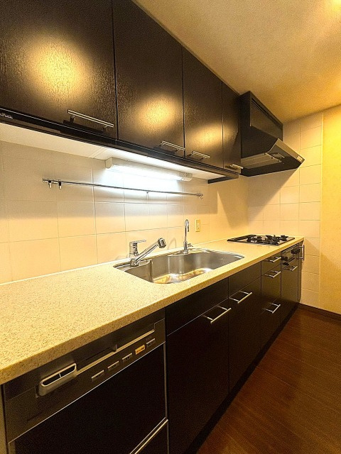 芝浦アイランドケープタワーのキッチン