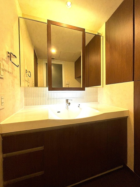 芝浦アイランドケープタワーの独立洗面台