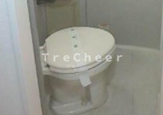 ベルクハイムのトイレ