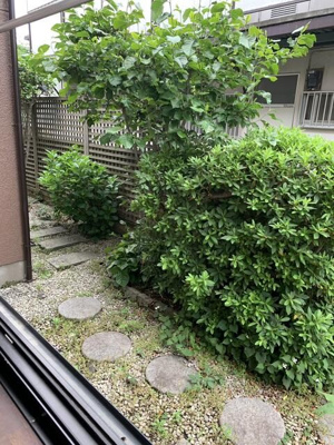 【展望】 | イリヤマコーポ
