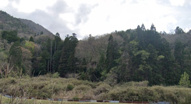 丹波篠山市小野奥谷　山林の画像