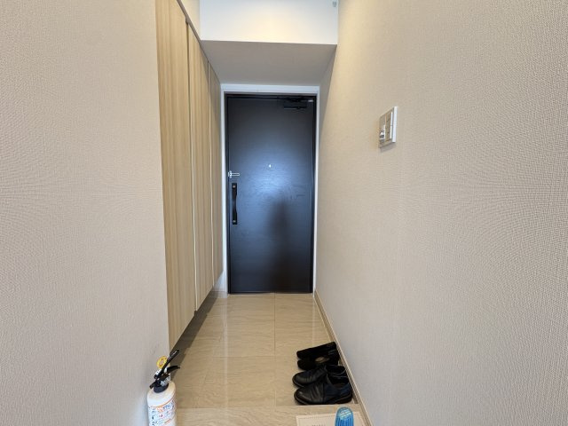 〇ブランシエラ那覇古波蔵パークフロントの玄関|収納もある玄関です
