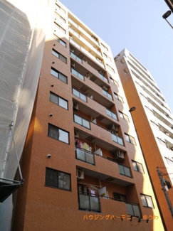 【外観】 | SRC造　地上１０階建　1987年2月（新耐震構造）