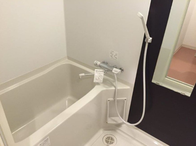 【浴室】 | レイナス花絣