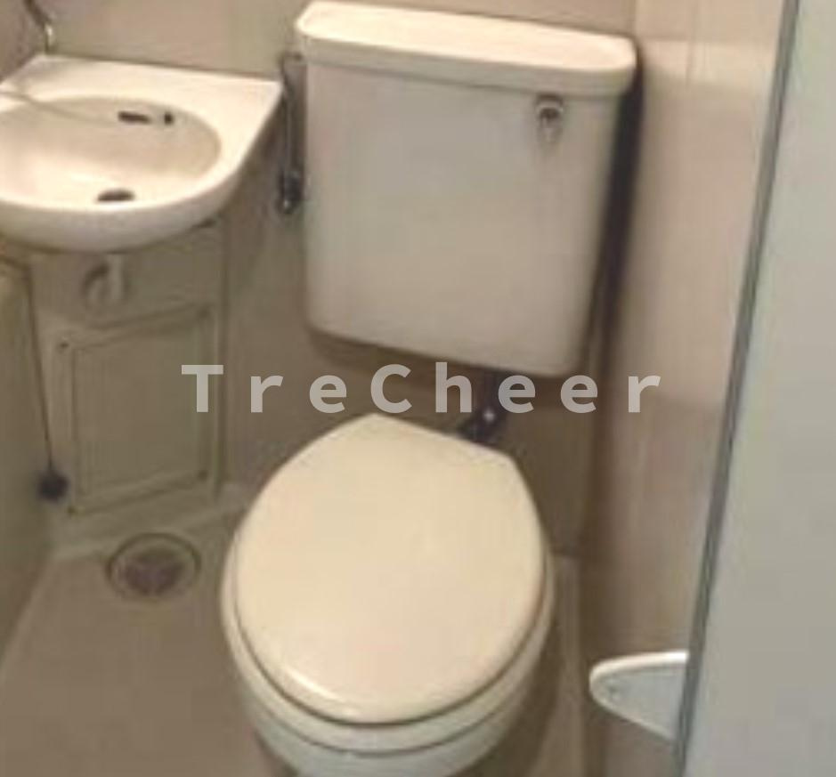 パークサイドマンションのトイレ